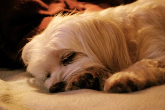 162628_10150105334684540_328069_n