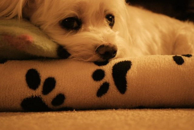 165009_10150105332499540_5480132_n