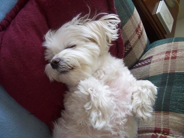 1694_52283249539_7335_n