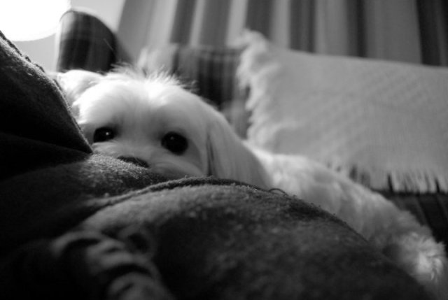 67157_10150105332894540_4644900_n